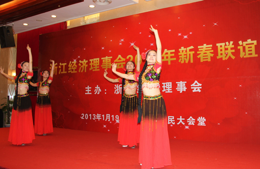 浙江经济理事会2013年新春联谊会隆重举行