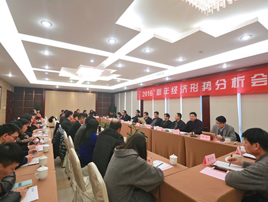2016新年经济形势分析会在杭成功举行