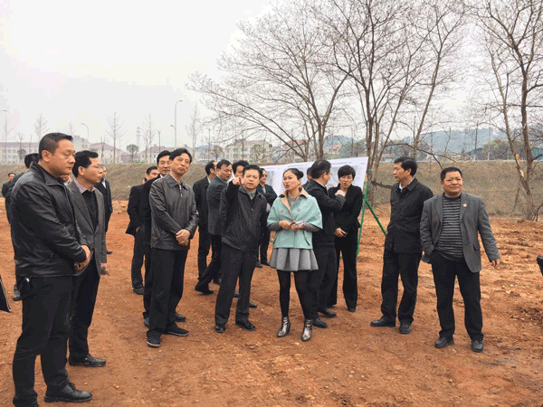 岳阳市委书记盛荣华一行参观我理事会成员单位