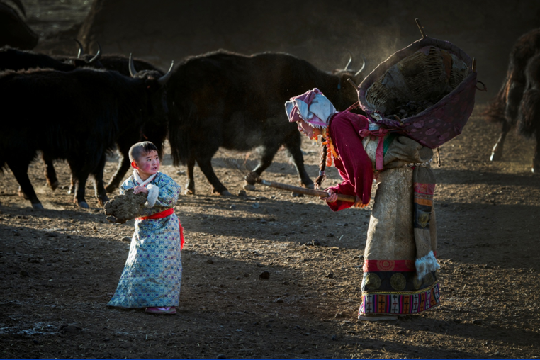 第1期浙江经济理事会读书会在杭成功举行